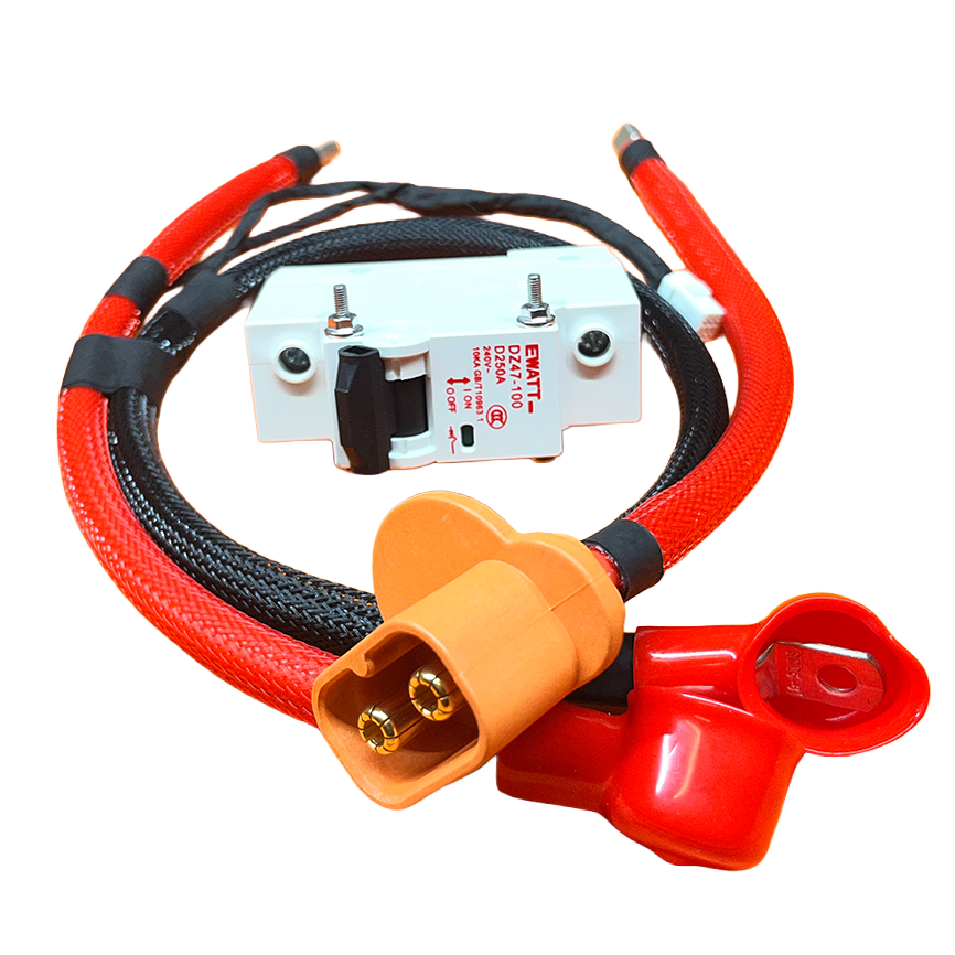 EBMX 81V Power Harness