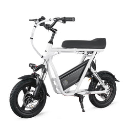 EMOVE RoadRunner SE