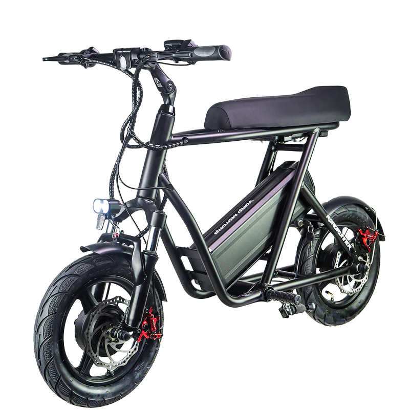 EMOVE RoadRunner V2