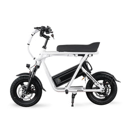 EMOVE RoadRunner SE
