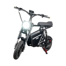 EMOVE RoadRunner Pro